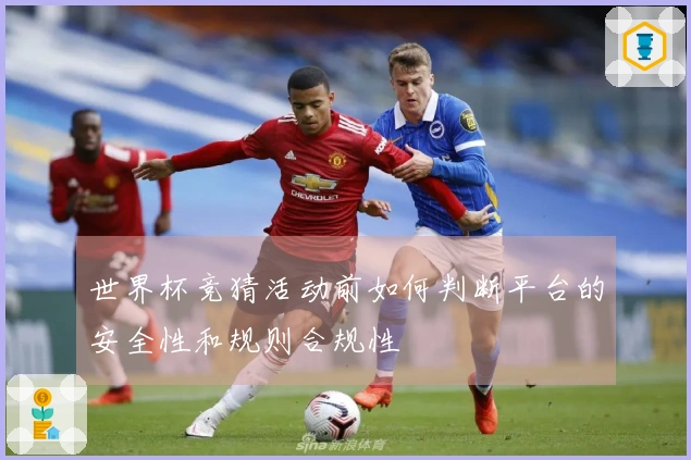 世界杯竞猜活动前如何判断平台的安全性和规则合规性