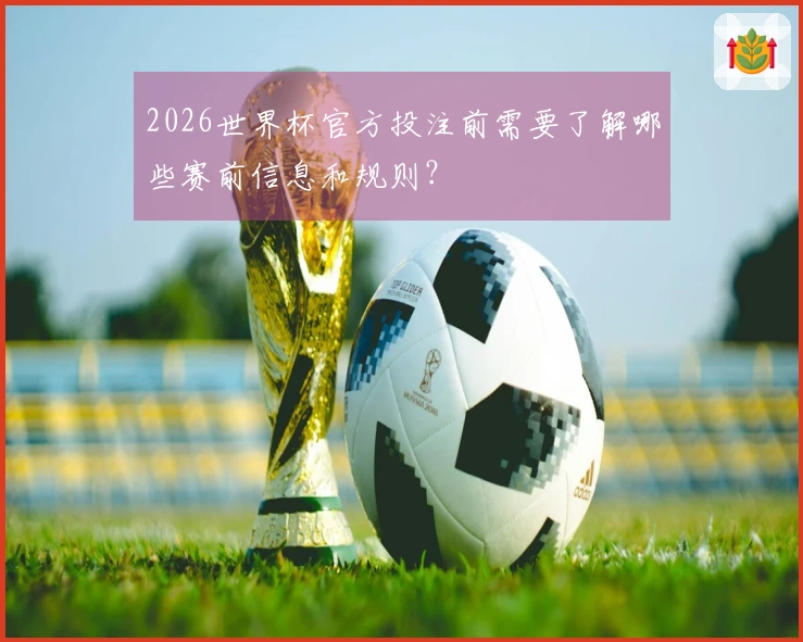 2026世界杯官方投注前需要了解哪些赛前信息和规则？