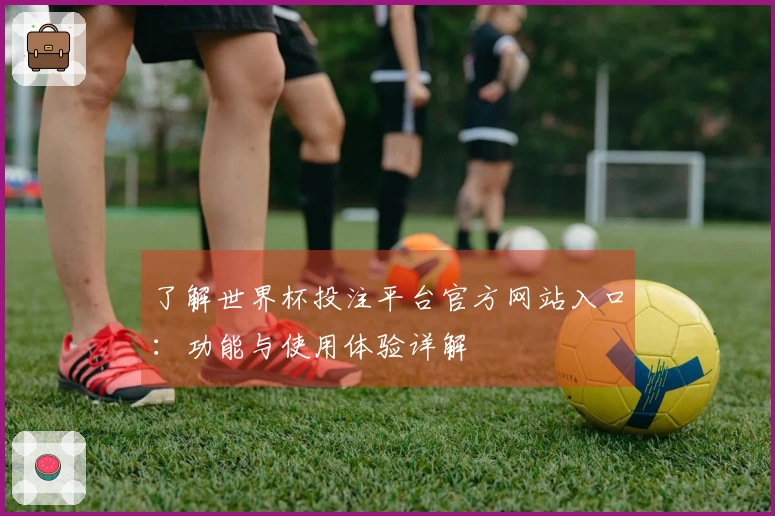 了解世界杯投注平台官方网站入口：功能与使用体验详解