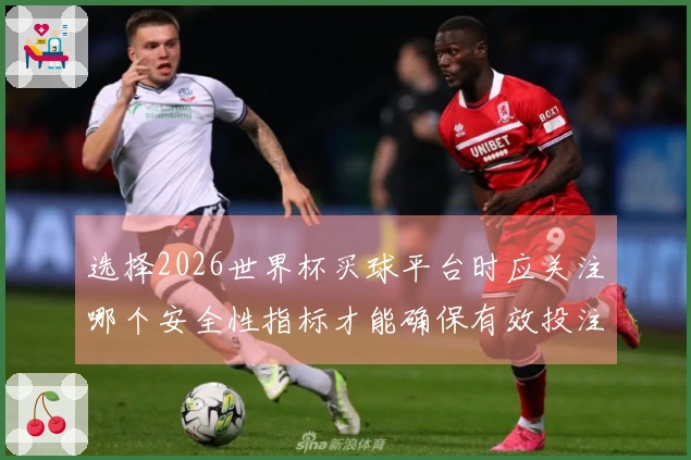 选择2026世界杯买球平台时应关注哪个安全性指标才能确保有效投注？