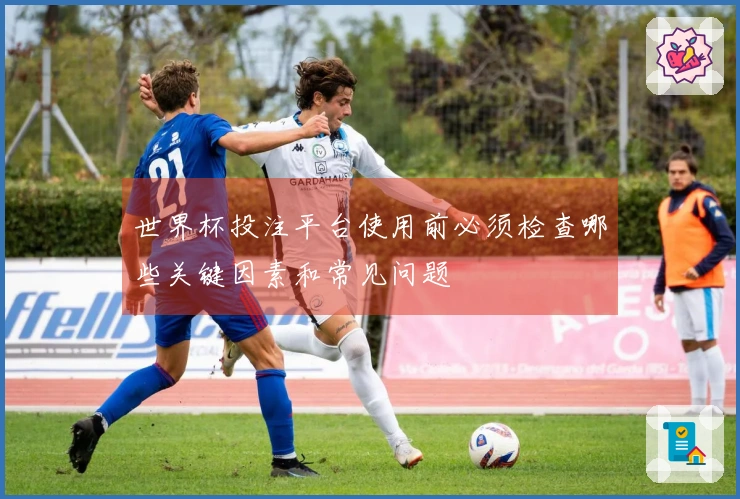 世界杯投注平台使用前必须检查哪些关键因素和常见问题