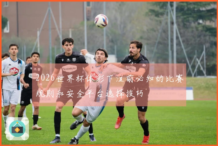 2026世界杯体彩下注前必知的比赛规则和安全平台选择技巧
