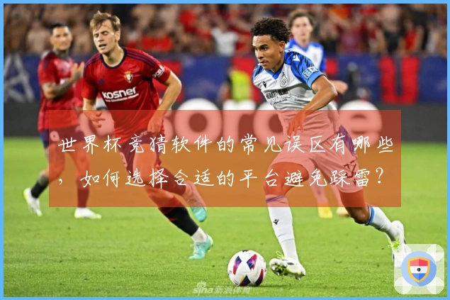 世界杯竞猜软件的常见误区有哪些，如何选择合适的平台避免踩雷？