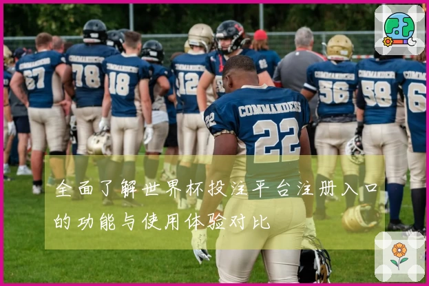 全面了解世界杯投注平台注册入口的功能与使用体验对比