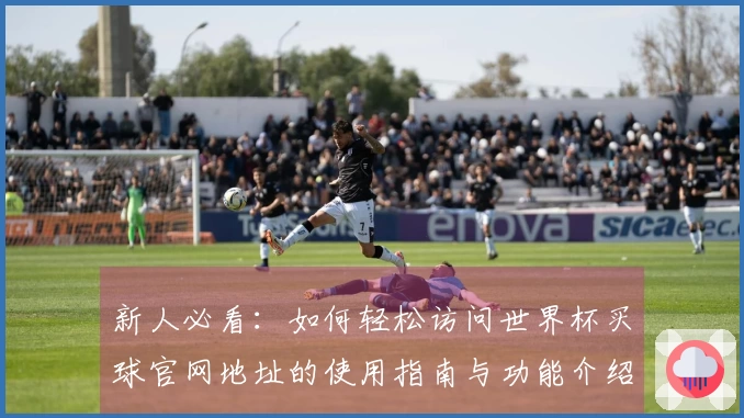 新人必看：如何轻松访问世界杯买球官网地址的使用指南与功能介绍