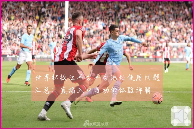 世界杯投注平台平台地址使用问题汇总：直播入口与功能体验详解