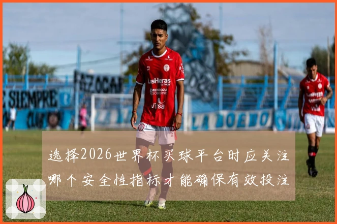 选择2026世界杯买球平台时应关注哪个安全性指标才能确保有效投注？