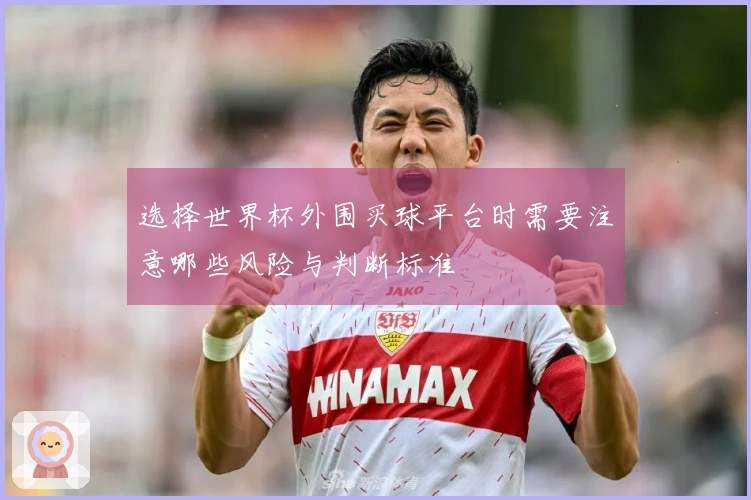 选择世界杯外围买球平台时需要注意哪些风险与判断标准