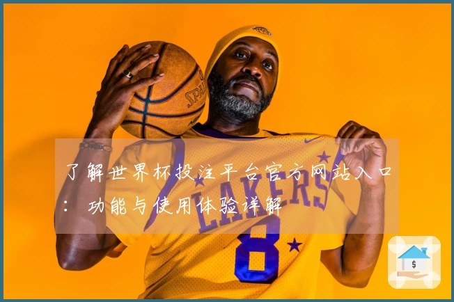 了解世界杯投注平台官方网站入口：功能与使用体验详解
