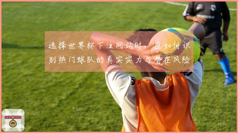 选择世界杯下注网站时,应如何识别热门球队的真实实力与潜在风险?