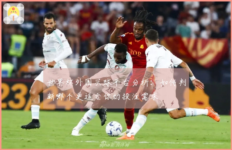 世界杯外围买球平台分析：如何判断哪个更适合你的投注需求