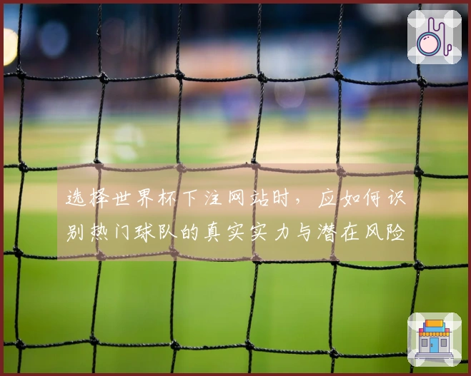 选择世界杯下注网站时，应如何识别热门球队的真实实力与潜在风险？