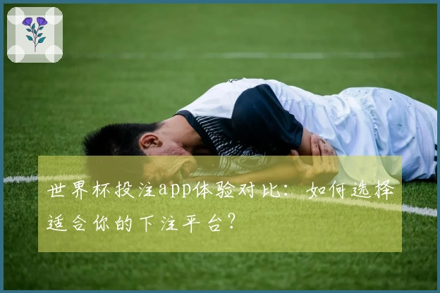 世界杯投注app体验对比：如何选择适合你的下注平台？